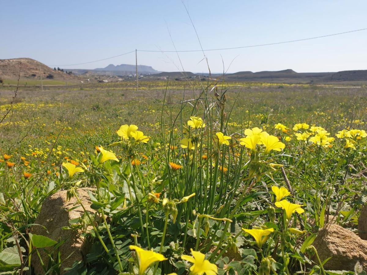 Níjar El Molino De Arriba 빌라 외부 사진