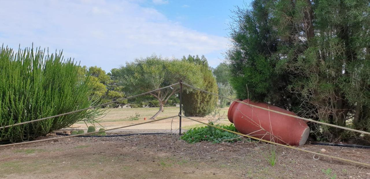 Níjar El Molino De Arriba 빌라 외부 사진
