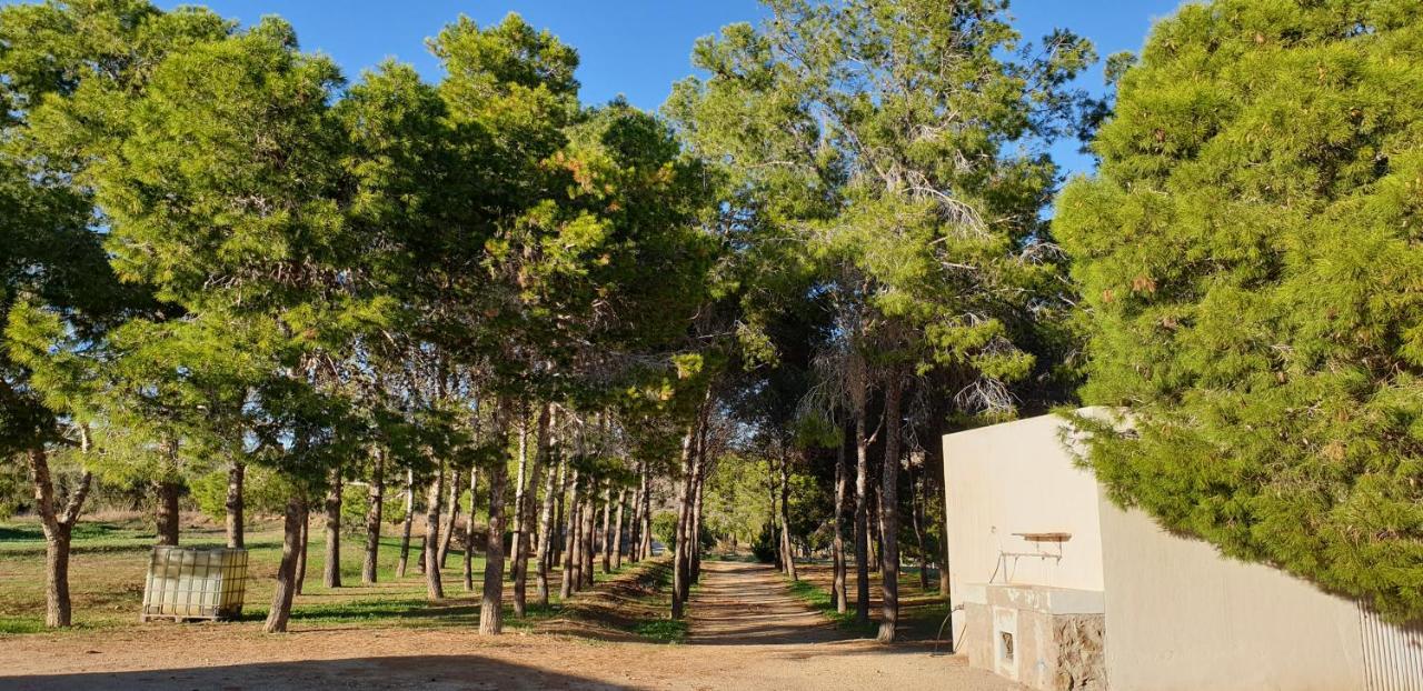 Níjar El Molino De Arriba 빌라 외부 사진