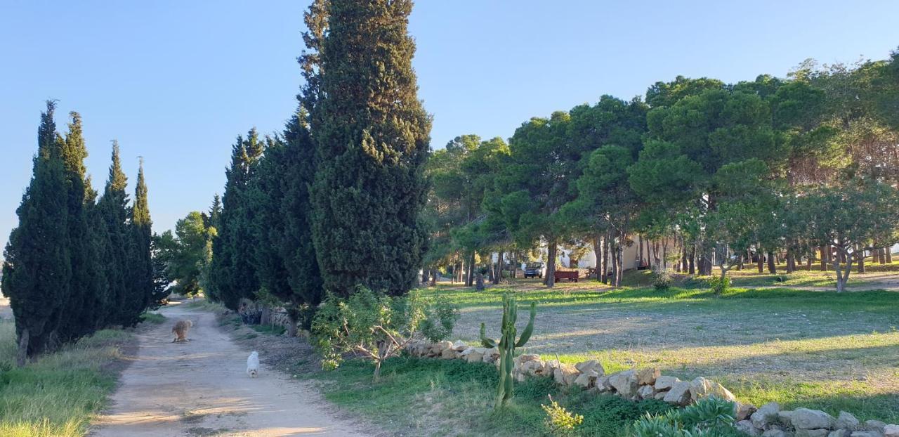 Níjar El Molino De Arriba 빌라 외부 사진